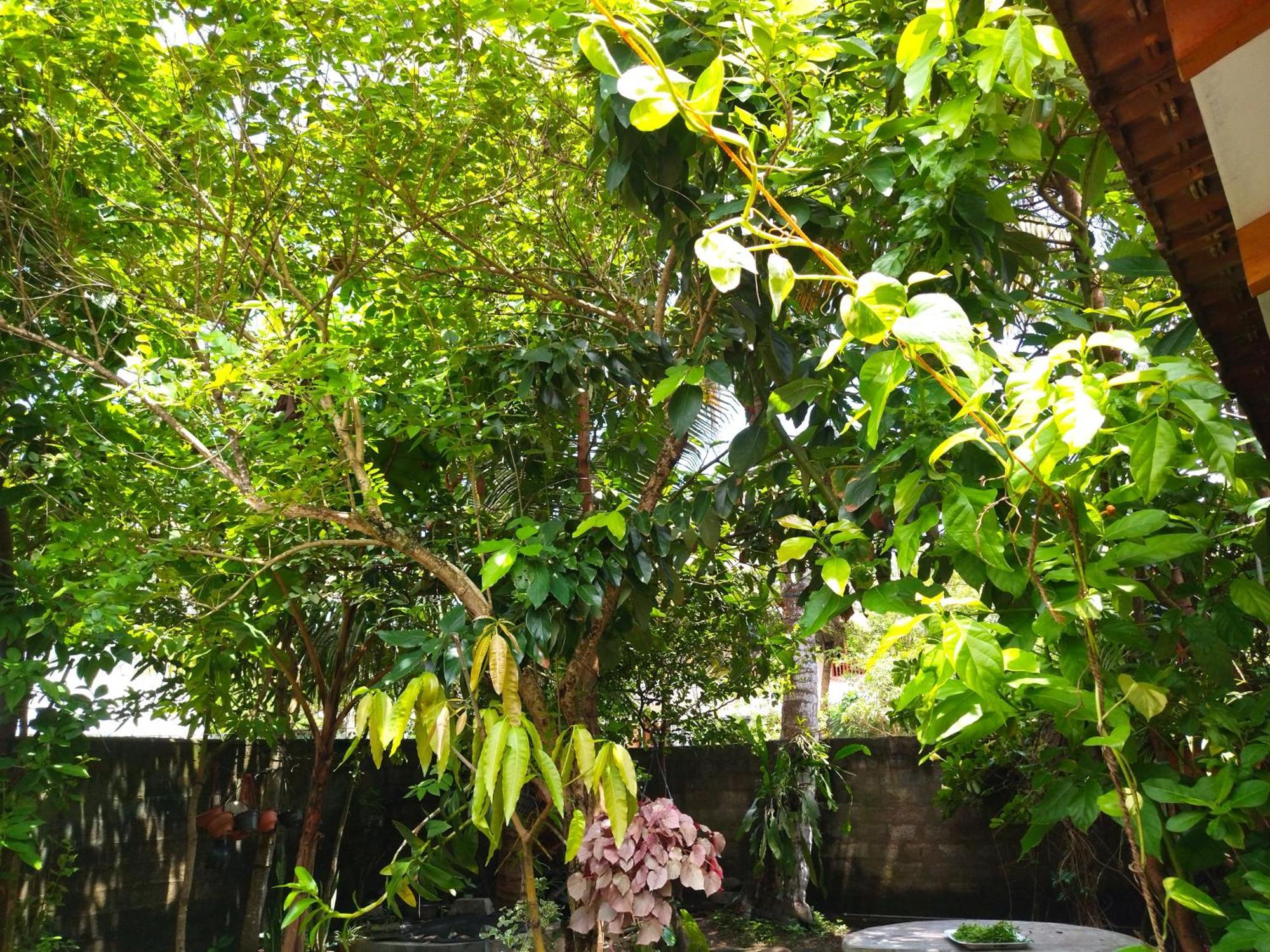 Mango Villa 703 Hikkaduwa Habitación foto